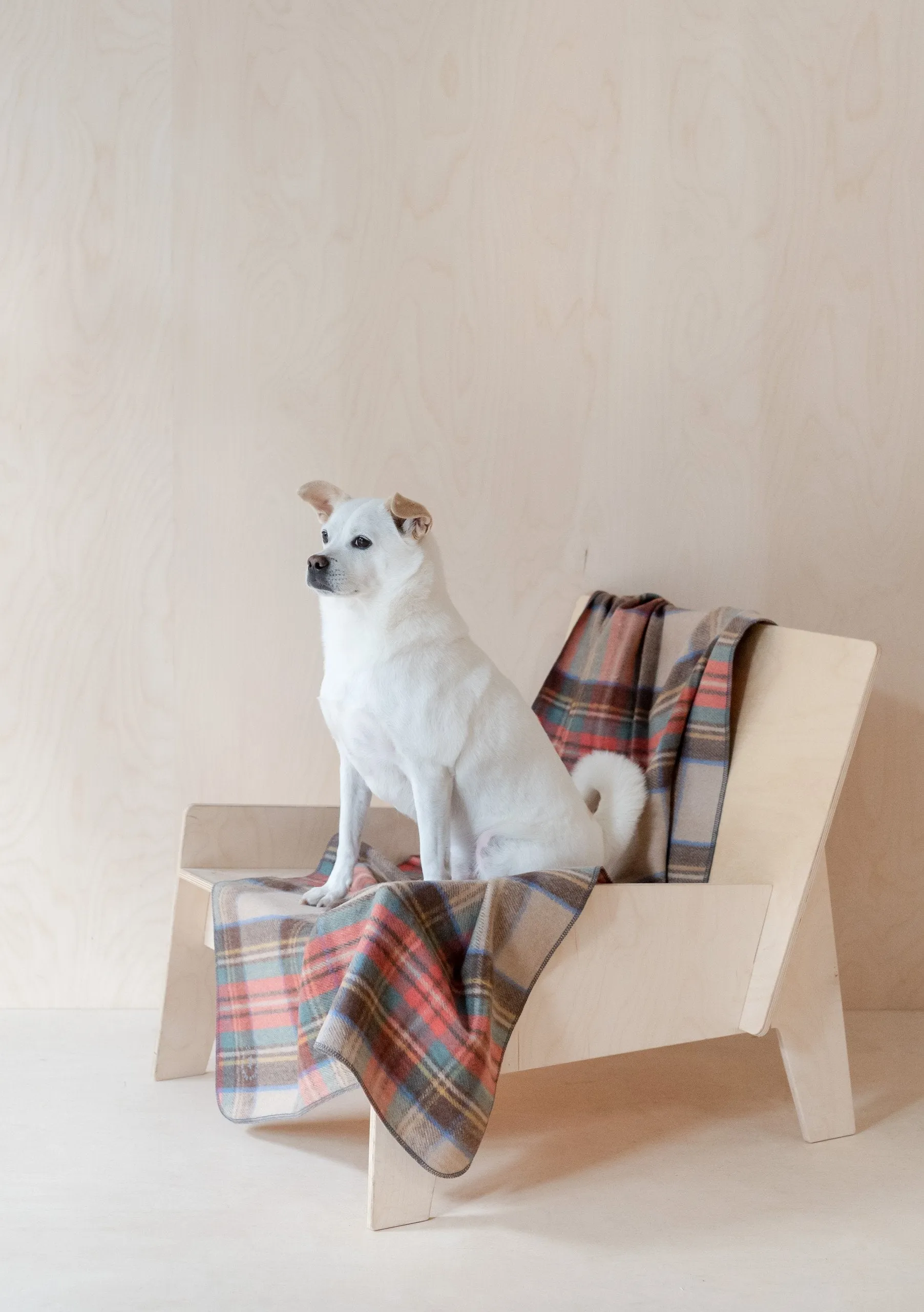 Recycled Wool Large Pet Blanket in Stewart Dress Antique Tartan